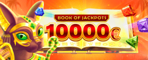 Bingo online pix - Pk456